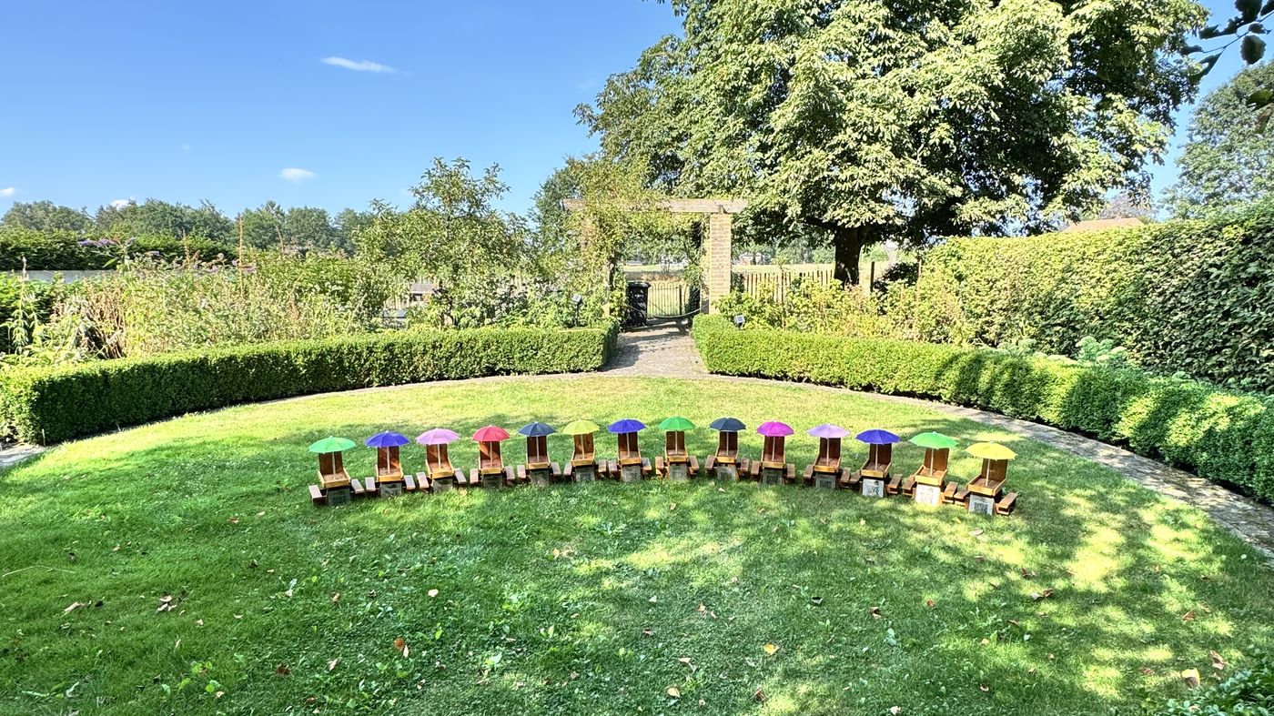 Veertien houten picknicktafeltjes met gekleurde paddenstoelhoedjes op een rij in een parktuin